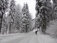 Kaiserbachtal - Winterimpressionen im Kaisergebirge
