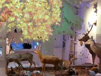 Berchtesgaden - Haus der Berge