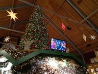 Stimmungsvolles Ambiente beim Blick nach oben .....