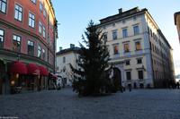 Silvester in Schweden - Eberhardt-Travel - Reiseleiter Martin Büchner-0426