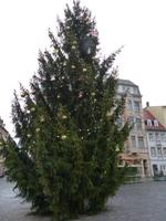 Weihnachtsbaum auf dem Markt in Altenburg