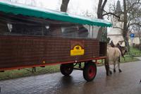 050-Schloss Diedersdorf