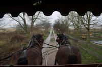 053-Schloss Diedersdorf