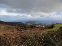 Wanderung Monte Epomeo 12