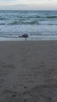 Strandpaziergang