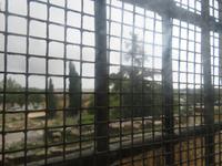 Silvester-Rundreise Zypern - Kolossi