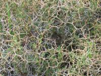 Silvester-Rundreise Zypern