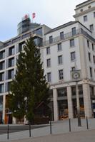 Stadtführung in Pforzheim - Weihnachtsbaum und SCHMUCKWELTEN