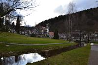 Bad Herrenalb - Kurpark