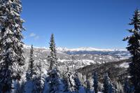 038 Katschberghöhe, Pferdeschlittenfahrt