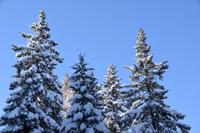 040 Katschberghöhe, Pferdeschlittenfahrt