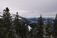 082 Rossfeldhöhenstraße, Blick zur Reiteralp