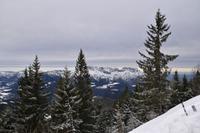 086 Rossfeldhöhenstraße, Blick zum Untersberg