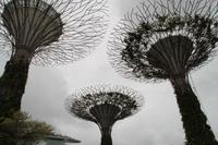 Singapur Gardens by the Bay