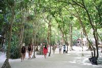 Koh Phi Phi - Maya Bay