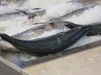 In der Fischhalle