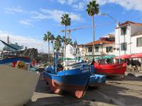 Camara de Lobos