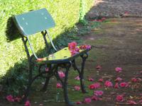 Palheiro Gardens