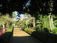 Palheiro Gardens