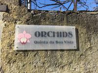 Orchideengarten Boa Vista