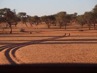 im Intu Afrika Kalahari Reservat