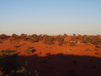 im Intu Afrika Kalahari Reservat - Sundowner