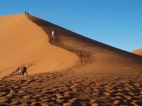 im Namib-Naukluft Nationalpark - Düne 45