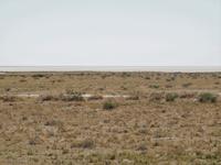 im Etosha Nationalpark - Salz-Ton-Pfanne