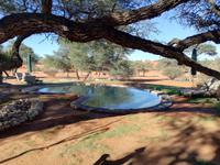 im Intu Afrika Kalahari Reservat - Camelthorn Lodge