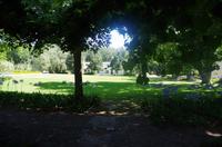 Weinprobe und Mittagessen in Blaauwklippen