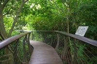Besuch des Nationalen Botanischen Gartens in Kirstenbosch 