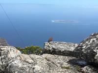 Besuch des Tafelbergs in Kapstadt