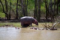 Bootsfahrt auf dem Lake St Lucia