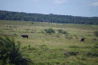 Fahrt durch den Nationalpark iSimangaliso Wetland Park