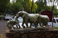 Harmoniepause beim Sunnyside Hotel in Johannesburg