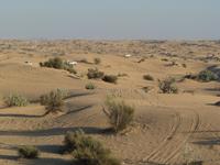 024 Dubai - Jeepsafari