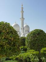 154 Abu Dhabi - Große Moschee