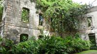 Farley Hill Barbados