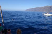 Los Gigantes - Silvester auf Teneriffa17)