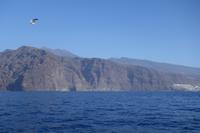 Los Gigantes - Silvester auf Teneriffa