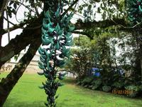 Lankester Botanischer Garten