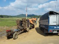 05.03_ auf dem Weg nach Ninh Binh