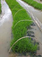 05.08_ auf dem Weg nach Ninh Binh