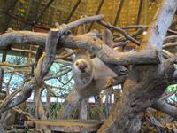 La Paz Waterfall Gardens