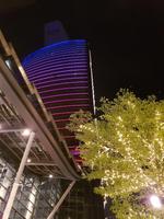 14.24_Phnom Penh; Abendspaziergang