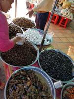 16.06_unterwegs nach Siem Reap; Schlangenmarkt