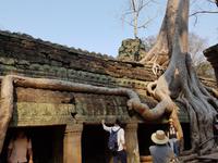 18.01_Dschungeltempel Ta Prohm (32)