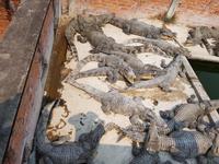 19.01_Dorfbesuch Porbonteay Chey (8)