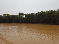 19.02_Tonle Sap See (16)