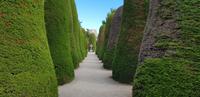 Friedhof von Punta Arenas